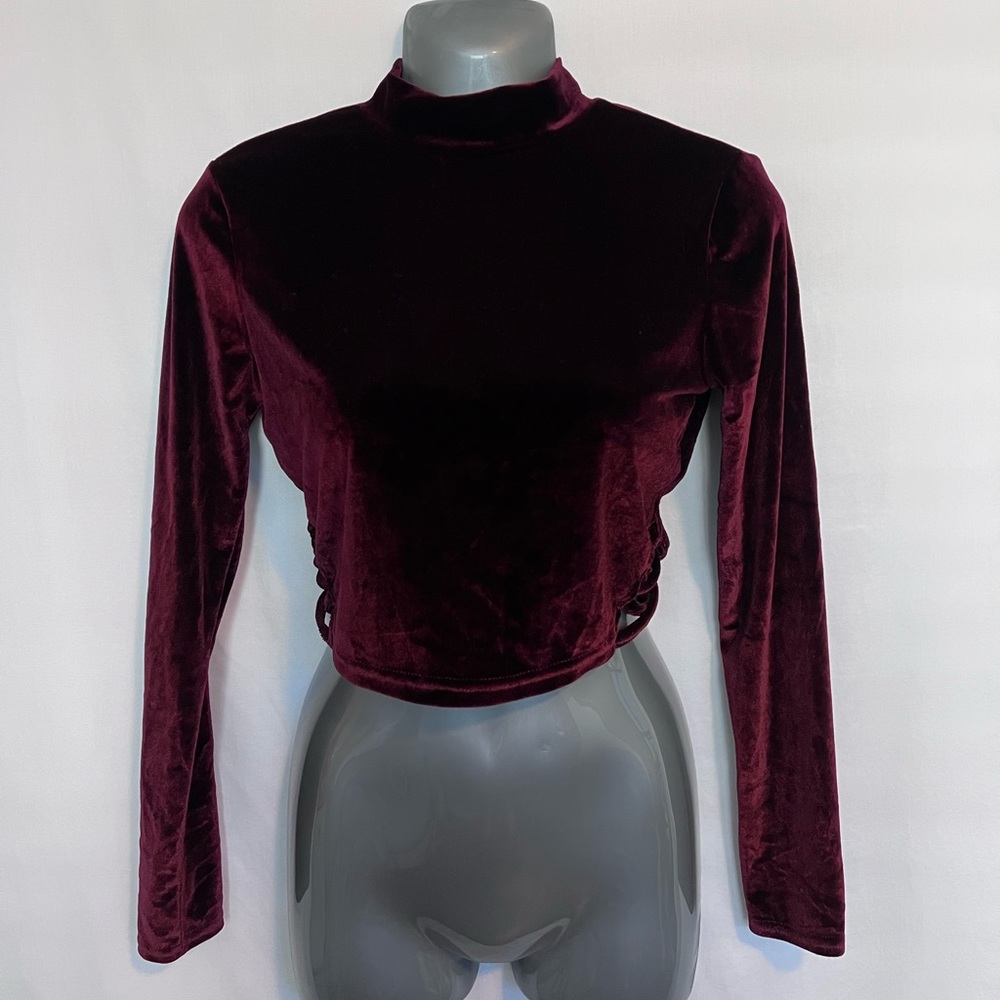 Deep Red Long Sleeve Velvet Turtle Neck